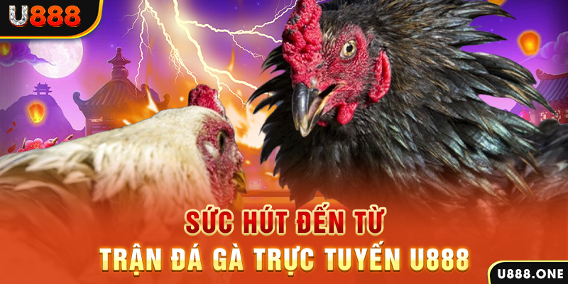 xsmt cn hòn gà chọi