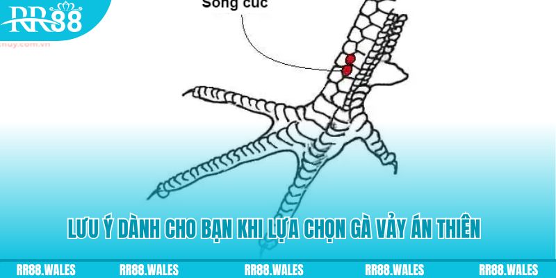 xsmt cn how to play roulette at casino