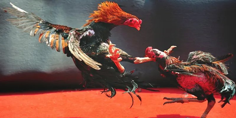 xsmt cn đăng nhập nổ hũ số 1