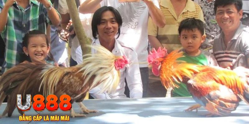 xsmt cn mơ thấy nổ hũ đánh con gì