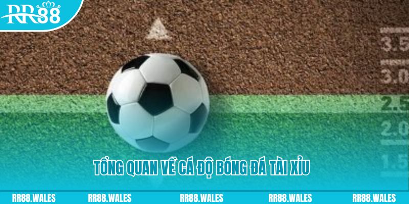 xsmt cn JDB Điện Tử