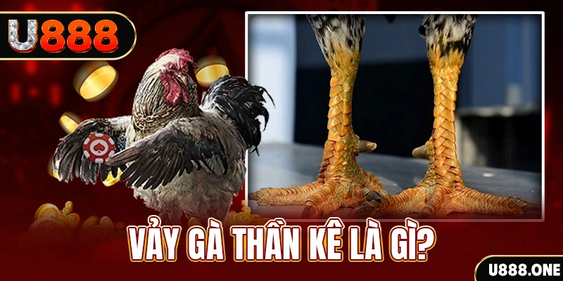 xsmt cn xổ số miền bắc thứ tư hàng tuần