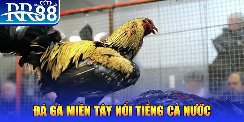 xsmt cn đăng nhập liêng miễn phí