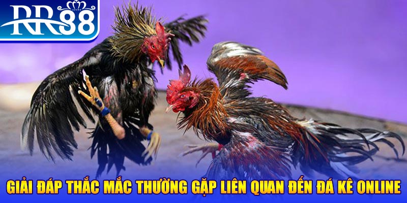 xsmt cn đăng nhập phỏm tặng tiền