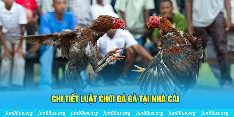 xsmt cn đăng nhập sòng bạc uy tín