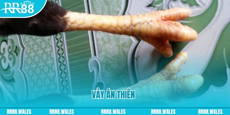 xsmt cn who wants to be a millionaire slot