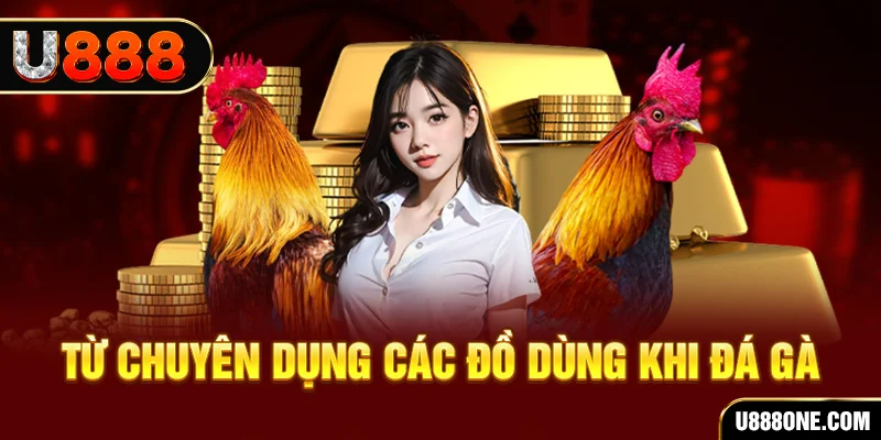 xsmt cn BSP Bắn cá